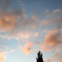 2011-08_Bergen.jpg