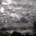 PIC_0768.JPG