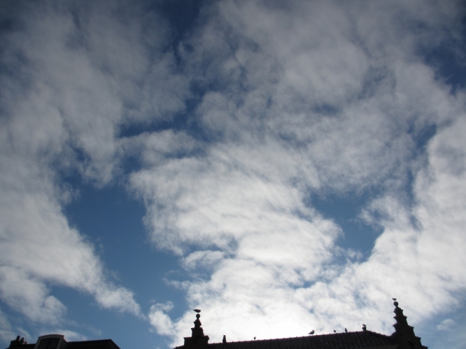 14 - 11 - '12, Haarlem
