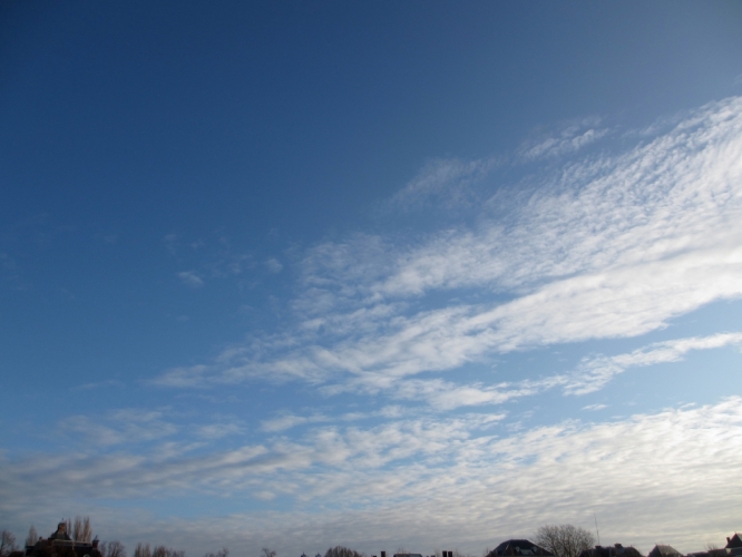 18 - 12 - '13, Museumplein.
