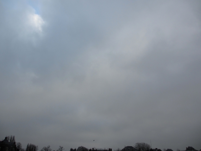 22 - 1 - '14, Museumplein.
