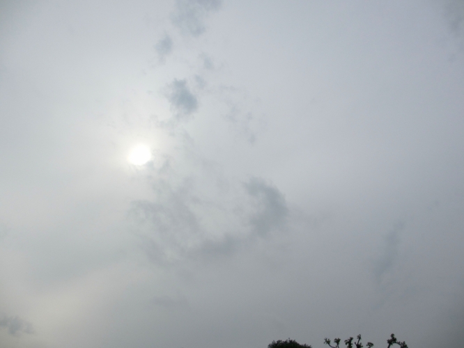 4 - 6 - '14, Museumplein.
