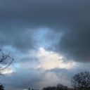 2012-12-26_woensdag.jpg