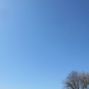 2015-15-4.jpg