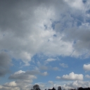 IMG_5959.JPG
