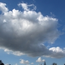 IMG_5986.JPG